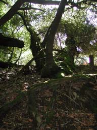 DSCN2340