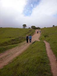 DSCN0031